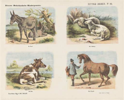 Useful Animals