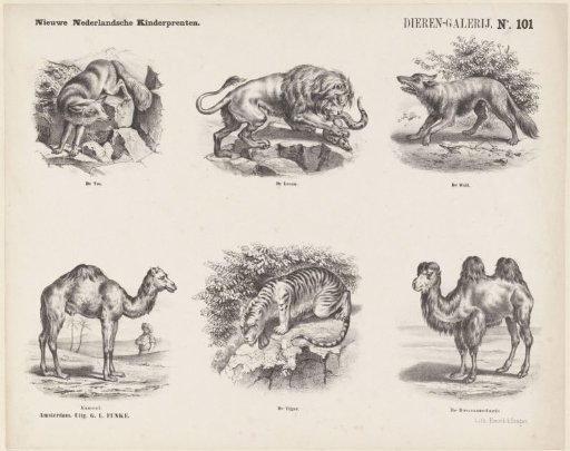 Gallery of Animals