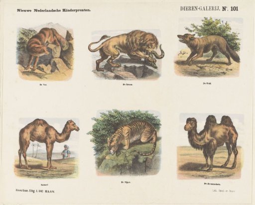 Gallery of Animals