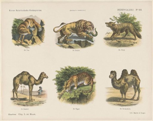 Gallery of Animals
