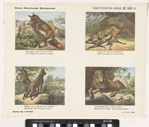 Tearing Animals / (2)