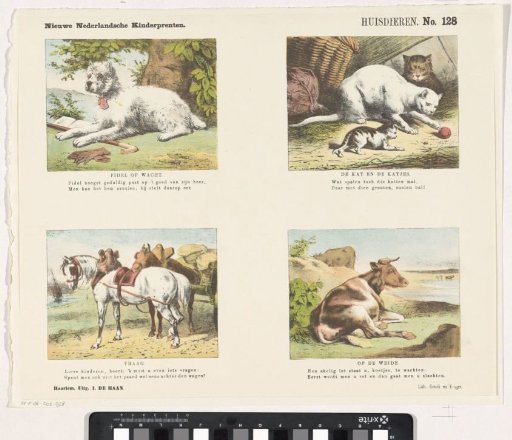 Domestic animals