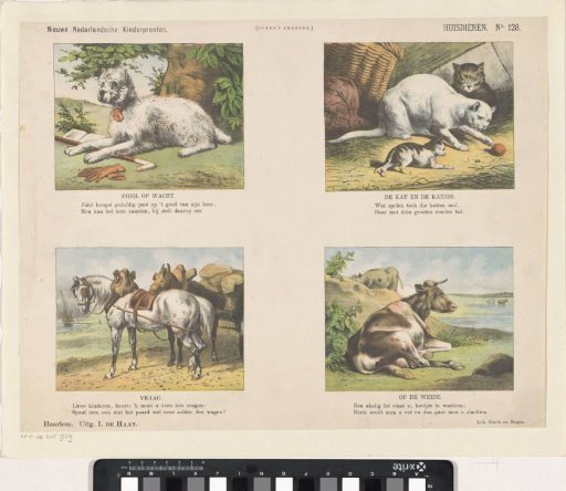 Domestic animals