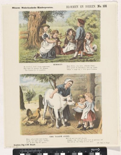 Flowers and animals