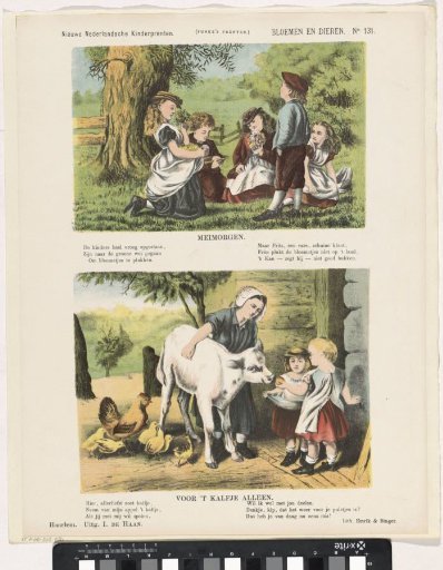 Flowers and animals