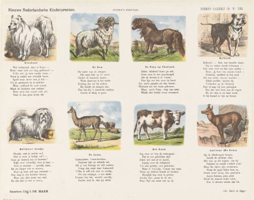 Animal gallery (2)