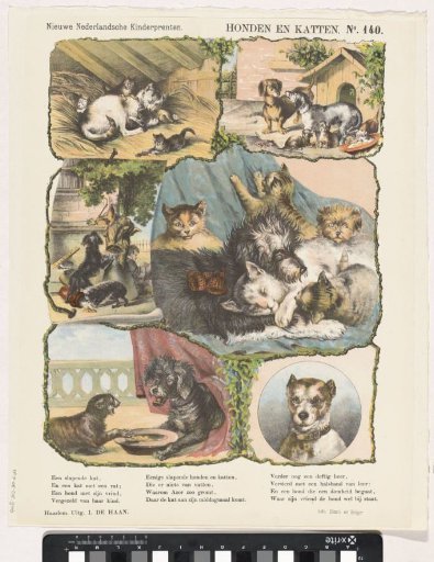Dogs and cats