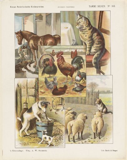 Domestic animals