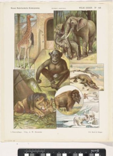 Wild animals