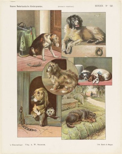Dogs