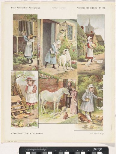 Feeding of animals