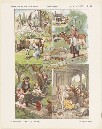 On the farm