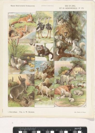 Old and Young, / from the Animal World