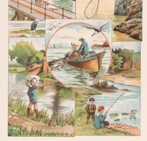 The Fishing
