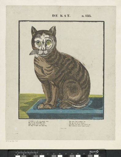 The Cat