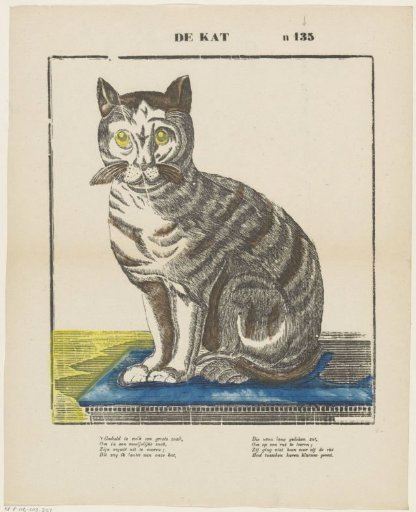 The Cat