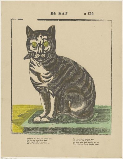 The Cat