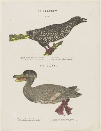 The Starling / The Goose