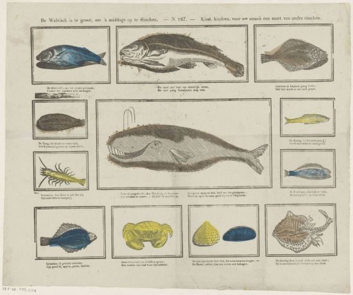 The Whale is Too Large to Be Served at Dinner, / Choose Children, for Your Taste a Kind of Other Fish