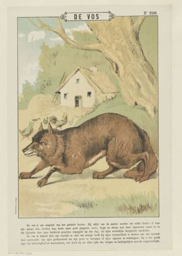 The Fox