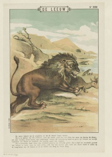 The Lion