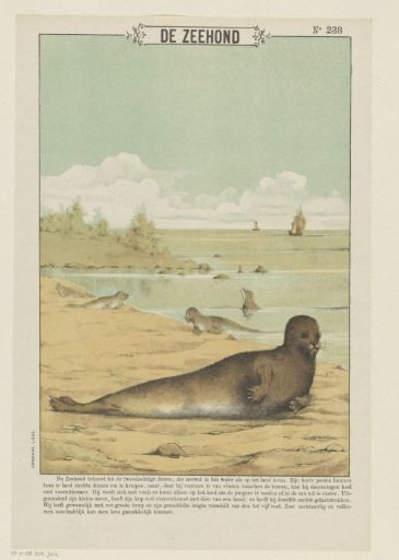 The Seal