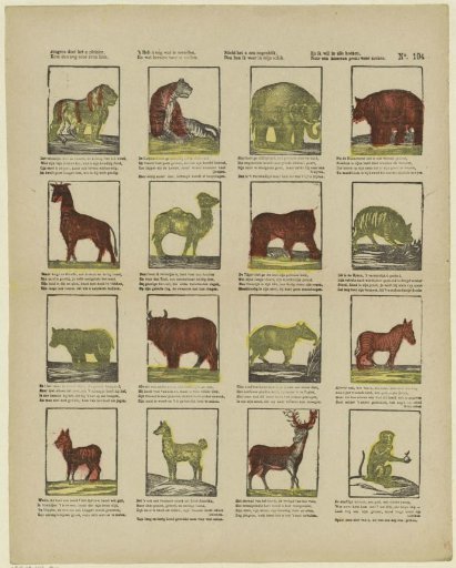Animals