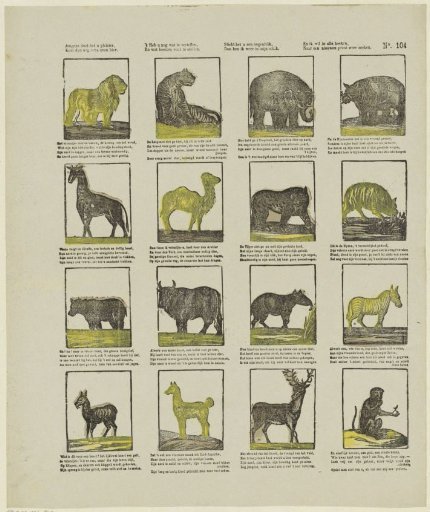 Animals