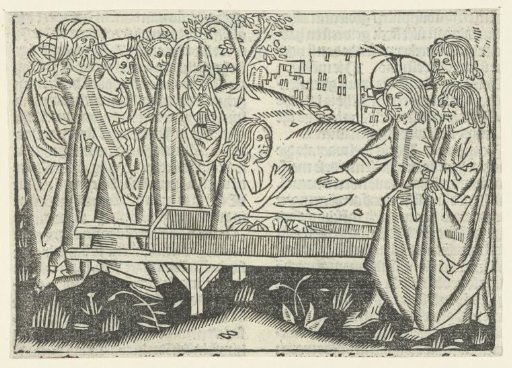 The raising of the widow's son at Nain
