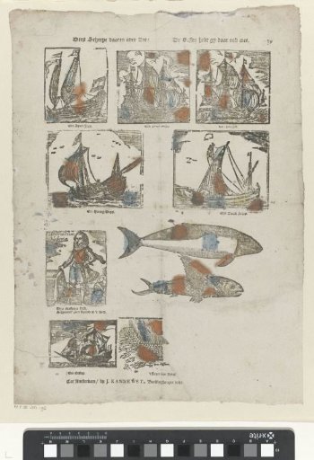 These ships sail over the sea / You have the fish there too