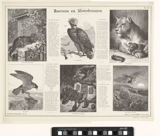 Robbers and murderers
