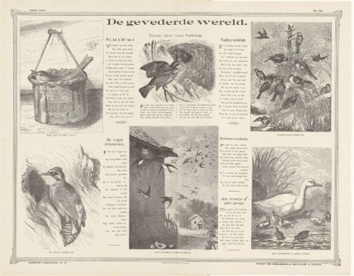 The feathered world.
