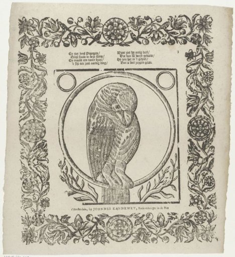 And behold this parrot / Standing in this circle [(...)]