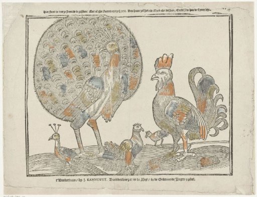 Here stands the proud peacock to show off / With all its feathers spread out / The rooster will not yield to him in courage; While the hen lays the eggs
