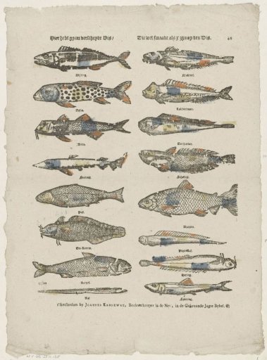 Here you have various fish / Which taste well when they are on the table