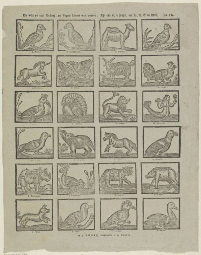 This wild and tame beast, and birds beautiful in feathers, / Are to teach you, O youth, the A, B, C.