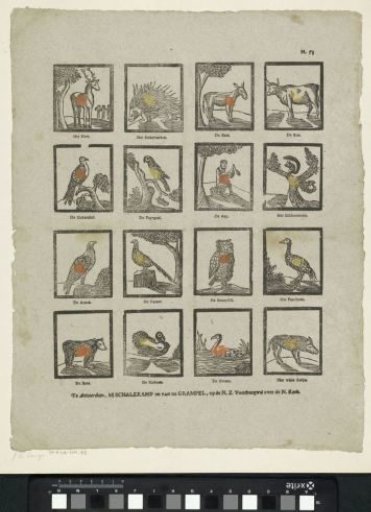 Animals