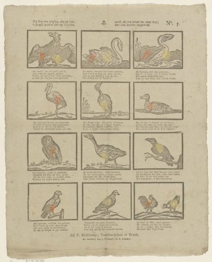 This race of birds, which you here / O youth! see printed on paper, / Is, as a proof of our diligence, / Dedicated to your love of learning