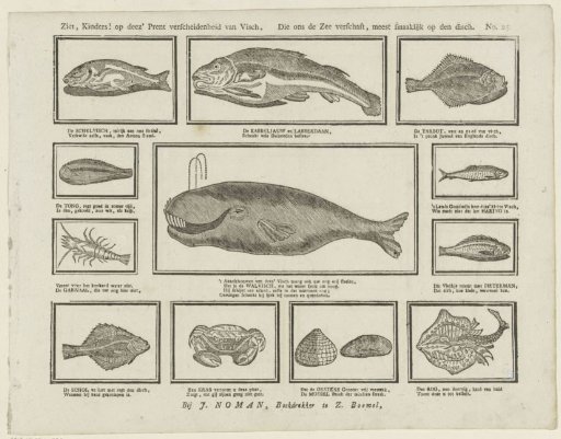 Behold, children! in this print a variety of fish, / Which the sea provides for us, mostly delicious on the table