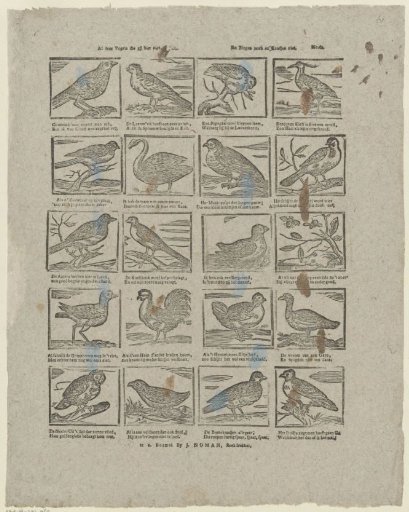 All these birds that you see here, / Neither sing nor crow