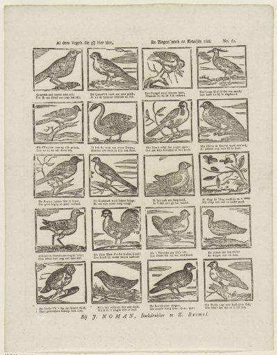 All these birds that you see here, / Neither sing nor crow