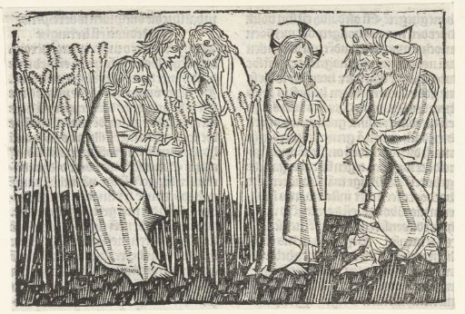 The disciples plucking and eating ears of corn on the sabbath