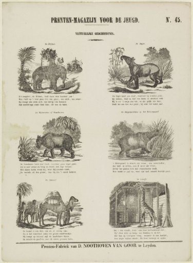 Animals