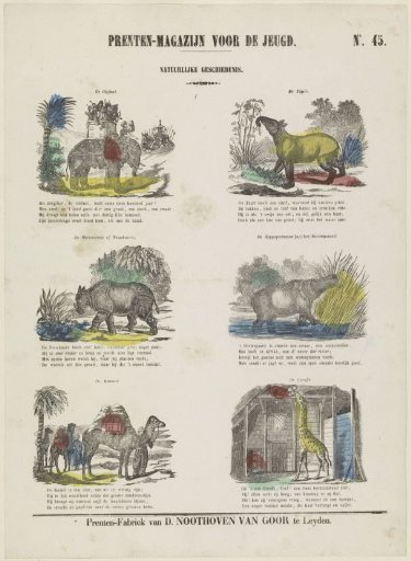 Animals