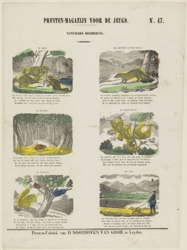 Animals