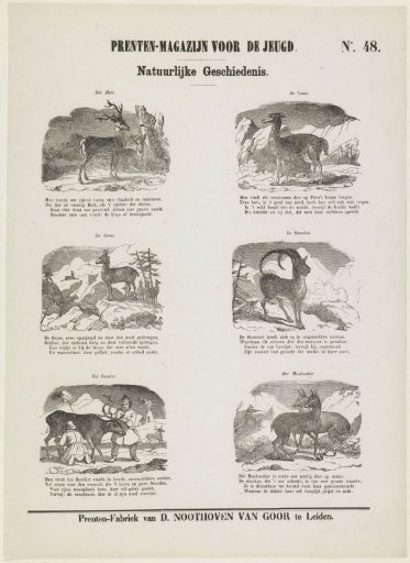 Animals