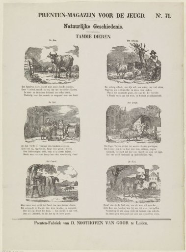 Domestic animals