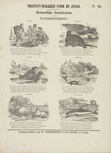 Marine mammals