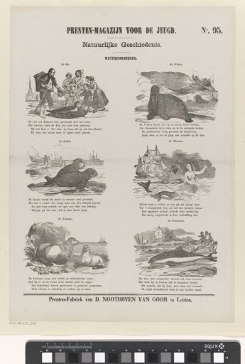 Marine mammals
