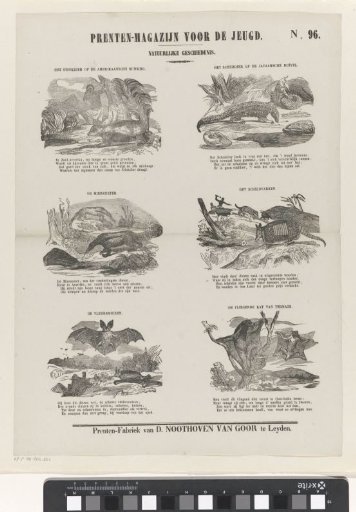 Animals